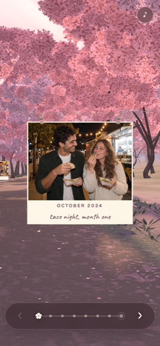 Sakura walk: Photos appear along a blossom path